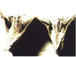 tech 6